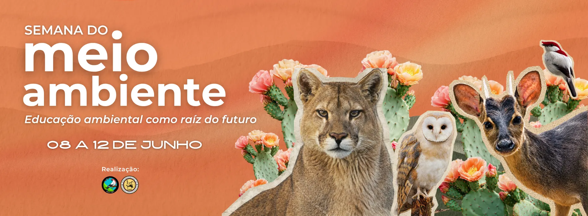 XX SEMANA DO MEIO AMBIENTE 2026 – Educação Ambiental como Raiz do Futuro